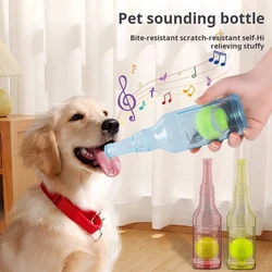Pelota de botella para perros – Juguete masticable con sonido