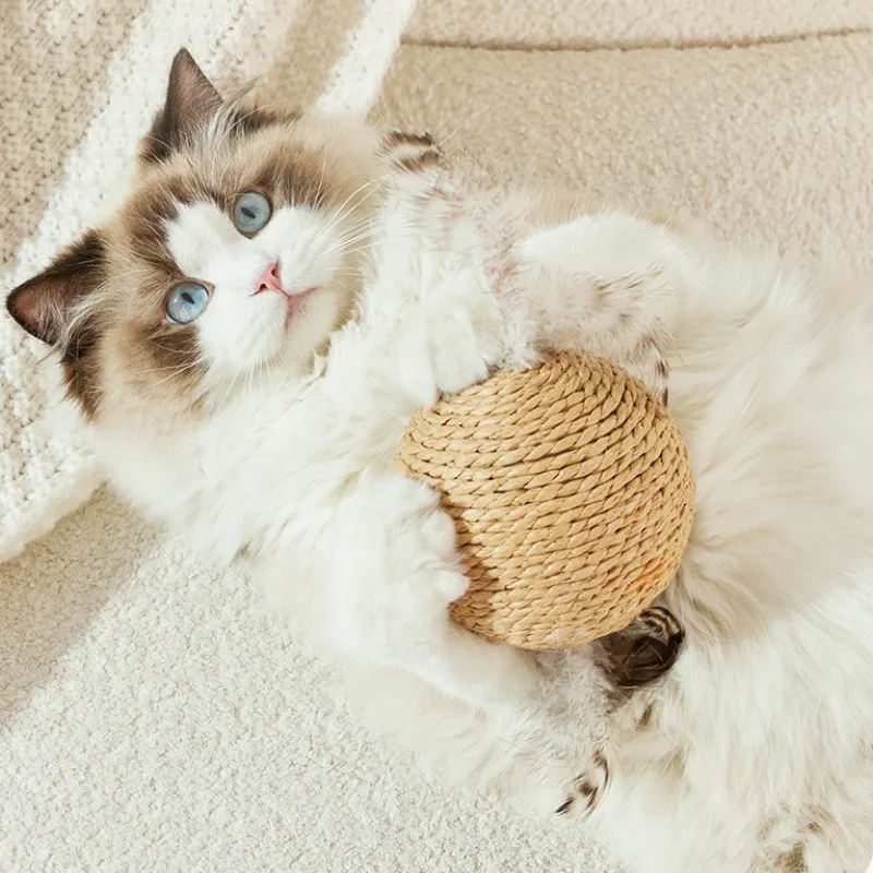 ของเล่นแมว Feather Ball ของเล่นแมว Interactive Scratch-ทนแมว Sticks Self-hi Sisal Balls ของเล่นสําหรับแมว Teasing สัตว์เลี้ยงผลิตภัณฑ์ - imagen 2
