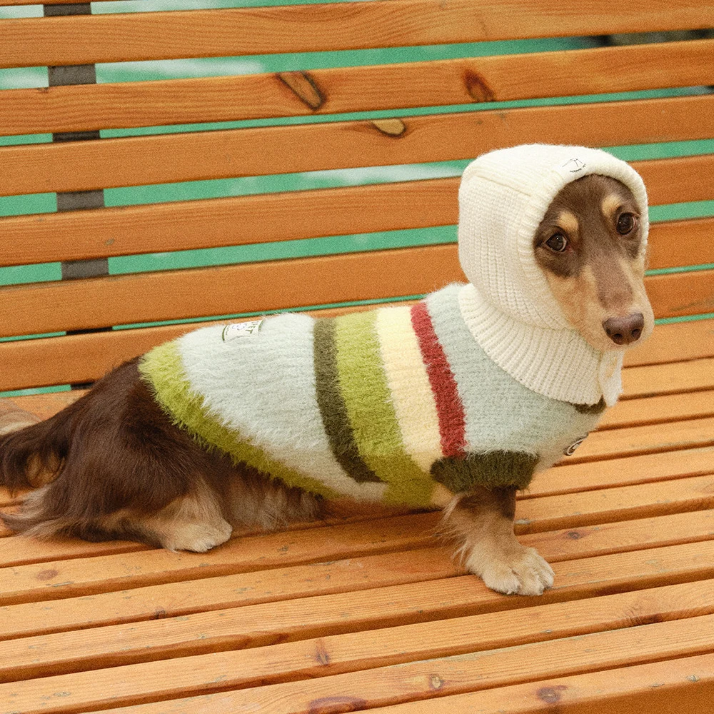 Jersey de punto para Dachshund – Verde manzana con rayas, abrigo suave - imagen 2
