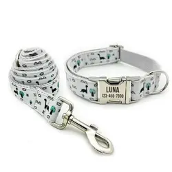 Collar cachorro personalizado con placa y grabado gratis – dinosaurio