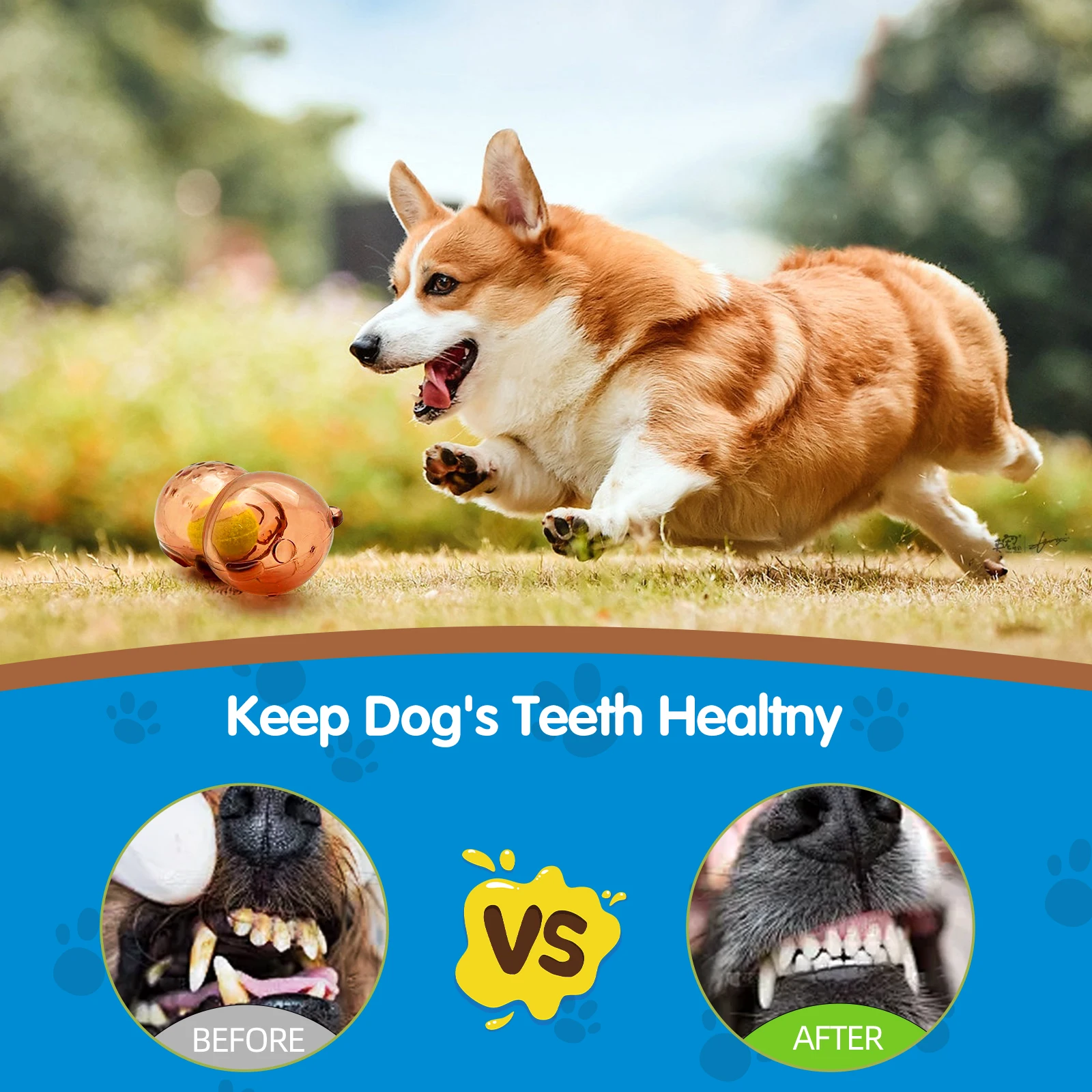 Perro mascota lindo y resistente a mordeduras, osito de peluche, pelota de tenis, comida con fugas, juguete de goma para acompañar los perros de todas las edades - imagen 5