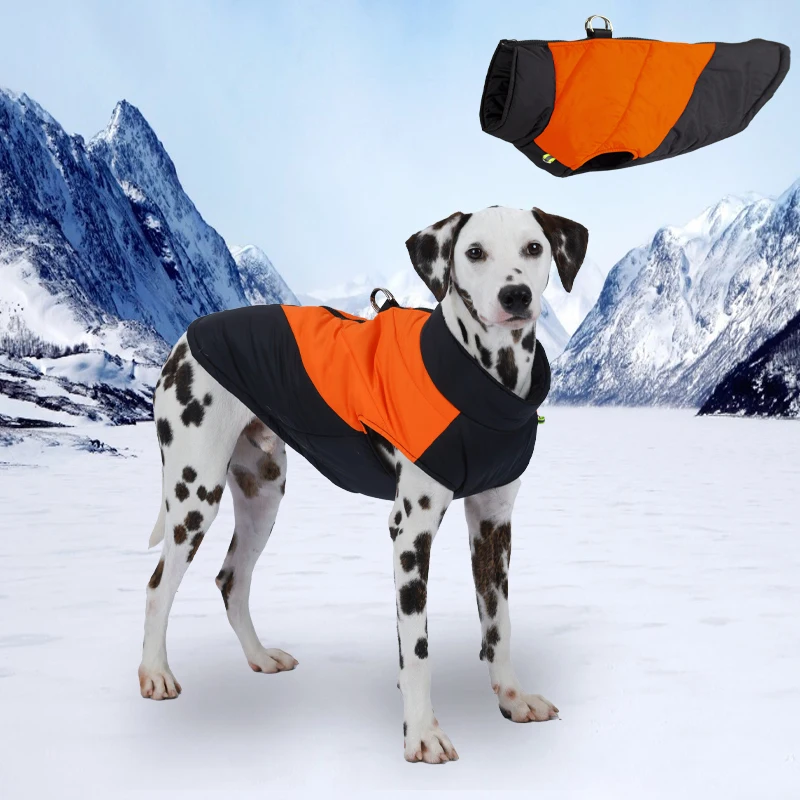 Mascotas medianas - Comodidad y estilo