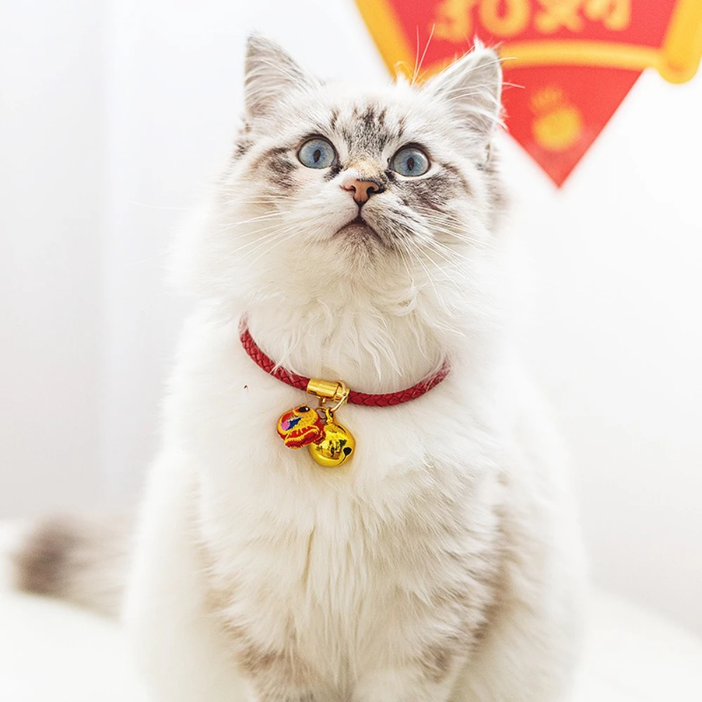 Collar de Cuero con Campana Antipérdida para Gatos y Perros Pequeños - imagen 2