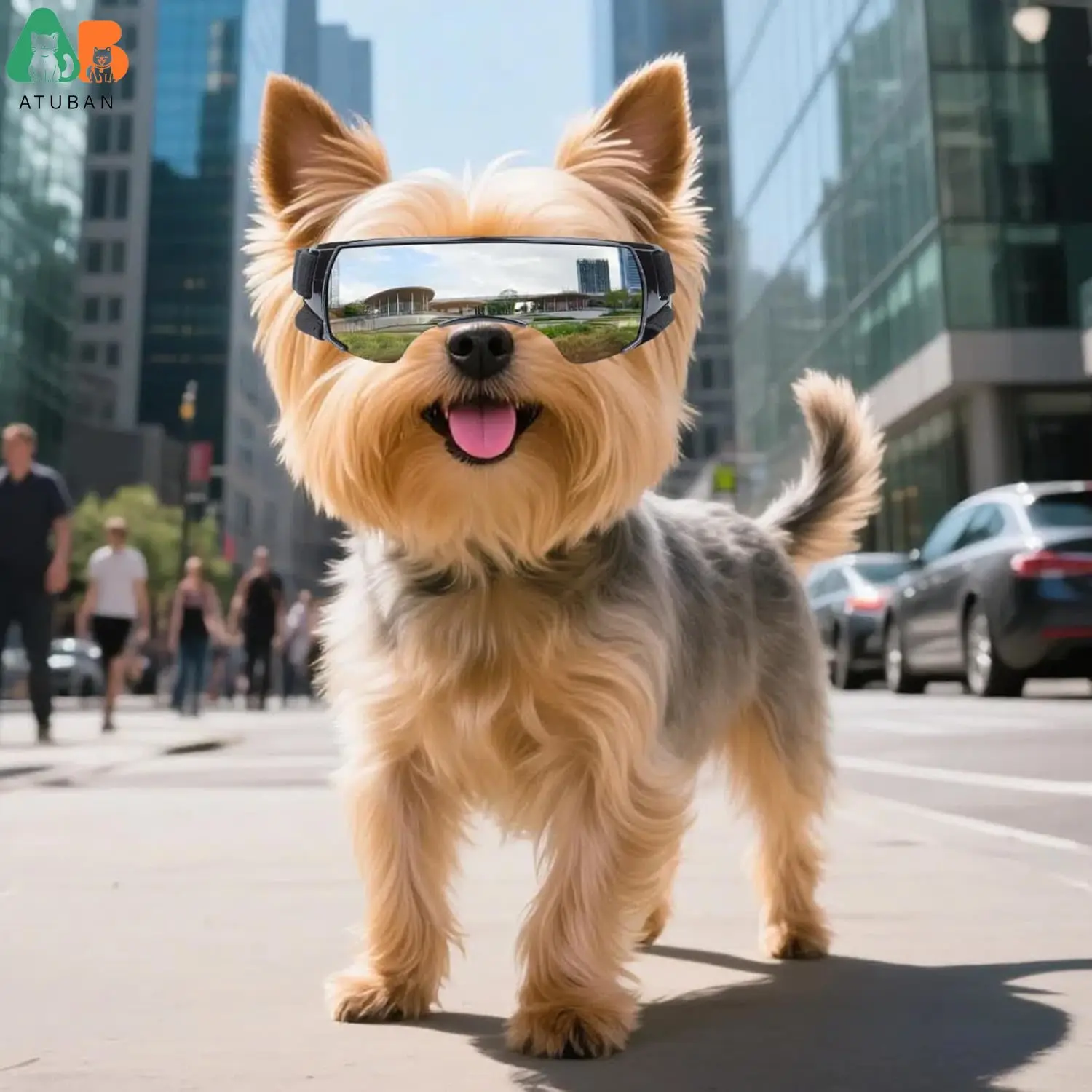 Gafas para perros de razas pequeñas, gafas con protección UV para perros pequeños, gafas de sol para cachorros, protección ocular para conducir a prueba de viento y polvo