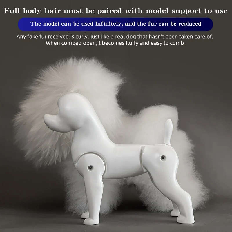 Modelo de simulación de mascota Bichon estándar, perro para práctica de aseo, adorno de pelo falso y estilo, debe usarse con el modelo de esqueleto - imagen 4