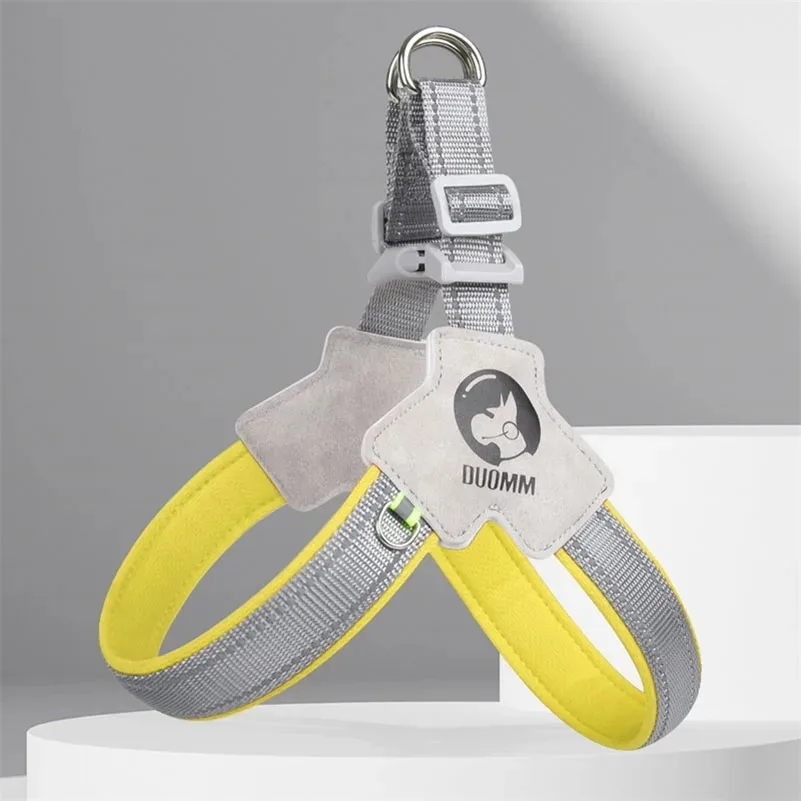 Arnés para perros, suministros para perros, correas, correa, cordón automático, Collar personalizado para mascotas, pecho clásico, accesorios para mascotas, chalecos gargantilla para traje - imagen 2