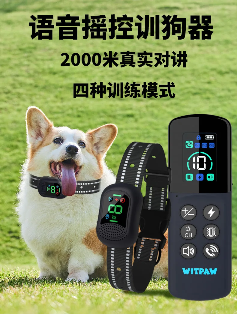 Collar de adiestramiento con control remoto y receptor