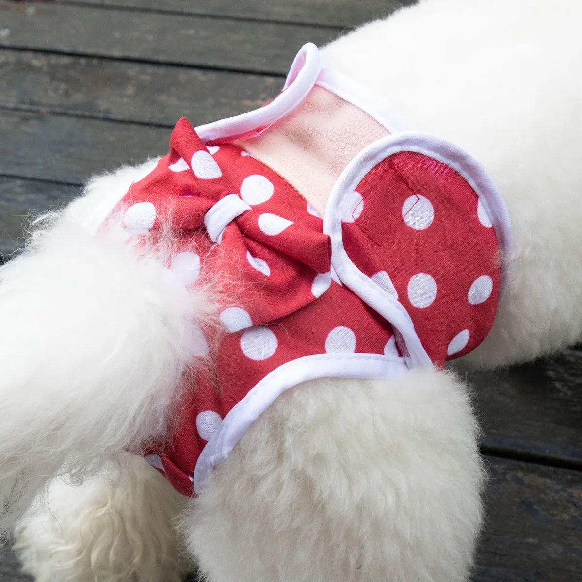 Pañales reutilizables para perros, pantalones fisiológicos lavables para perros y mujeres, ropa interior para cachorros, pantalones cortos para Menstruación de mascotas, accesorios para perros - imagen 5