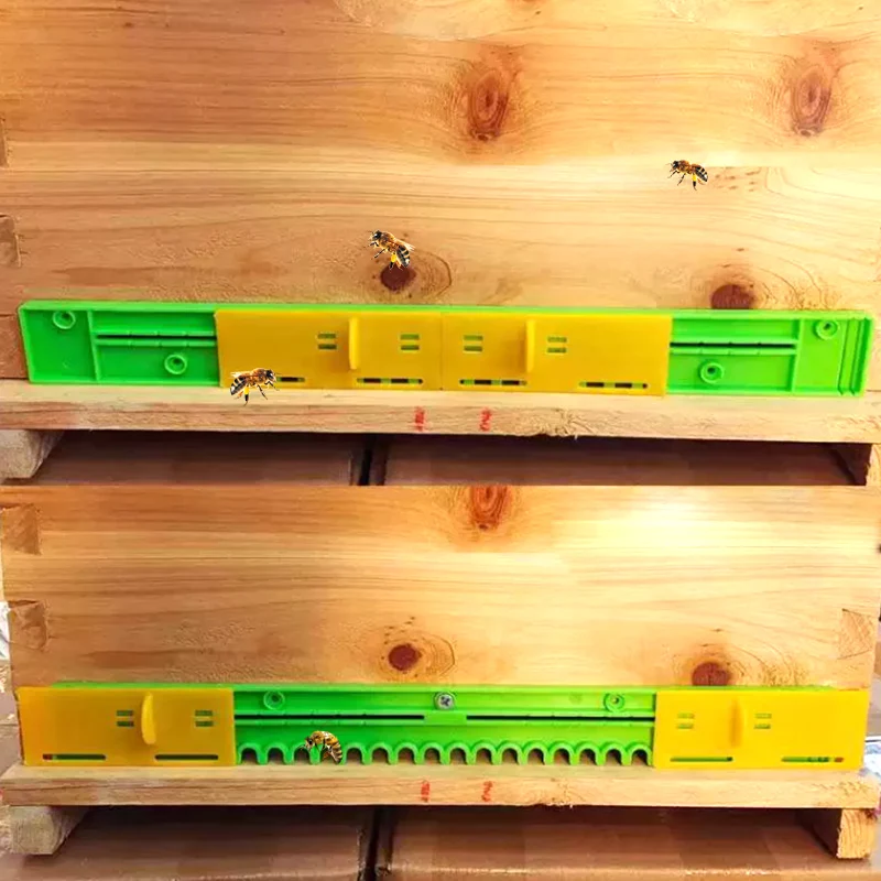 Puerta antiescape para apicultor, herramienta duradera para evitar que las abejas escapen, 5 piezas, nueva - imagen 5