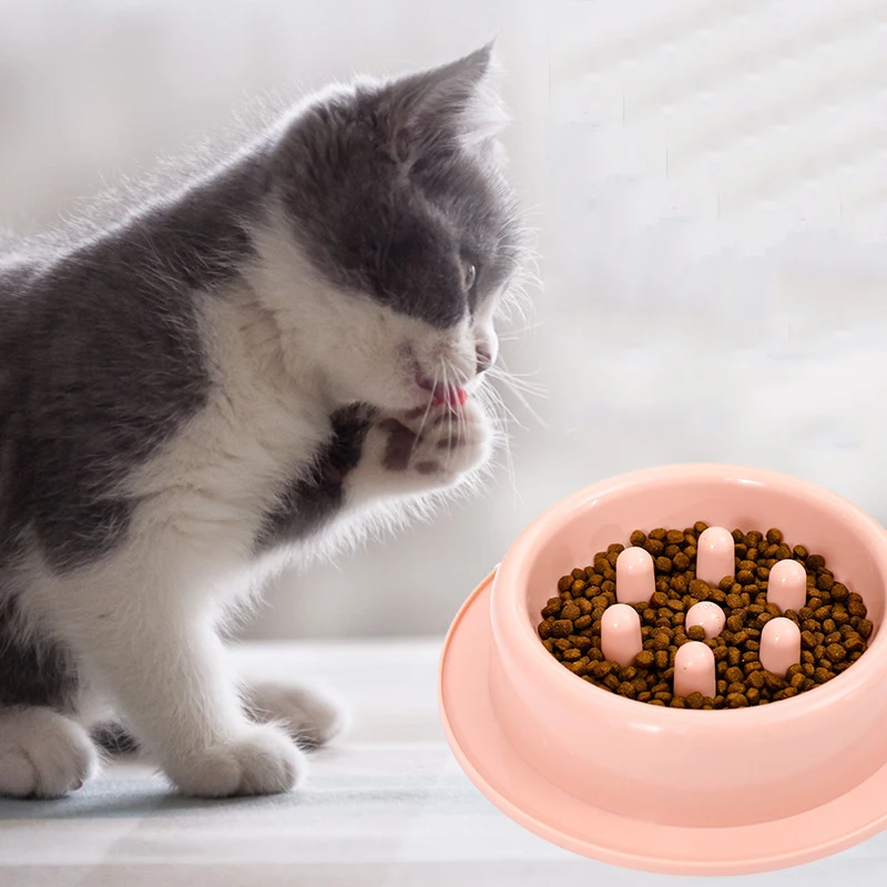 Nuevo cuenco de comida lenta para mascotas, cuenco de comida antiasfixia, cuenco grueso para gatos, cuenco para perros, cuenco de comida para perros antigolpes, suministros para mascotas