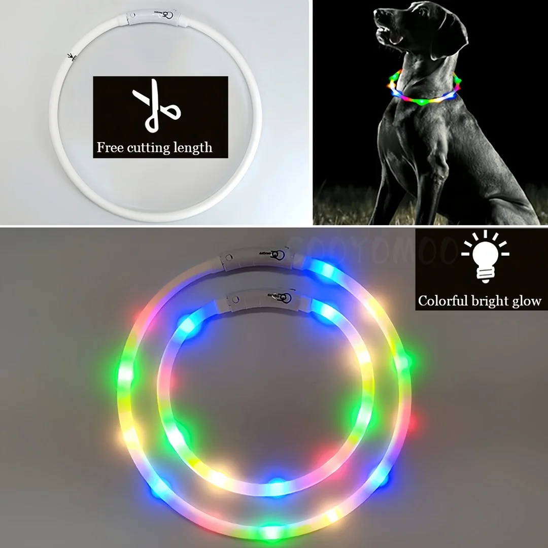 Collar de perro luminoso Led Con 4 modos intermitentes, luz multicolor de silicona suave, brillante, para perros que caminan por la noche - imagen 5