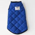 Blue Vest