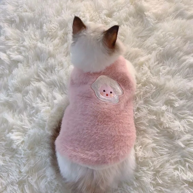 Gato feliz con suéter