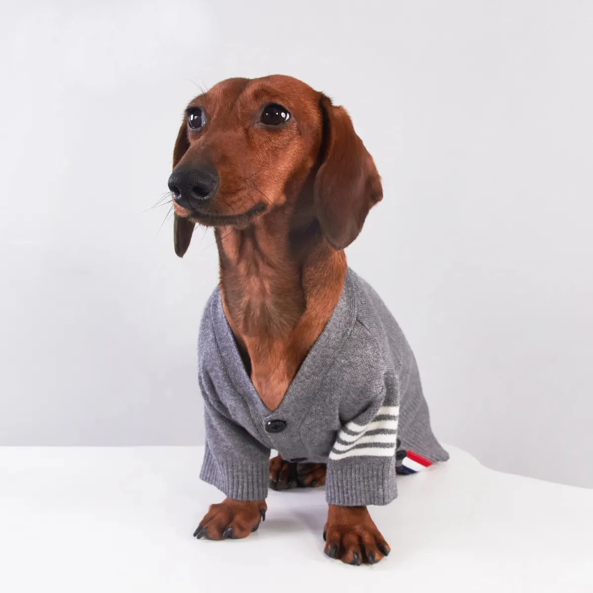 Chaqueta a rayas grises para perro Wiener en invierno, abrigo cálido de manga larga para perros tejón, cárdigan suave, ropa de descanso para perros salchicha - imagen 2