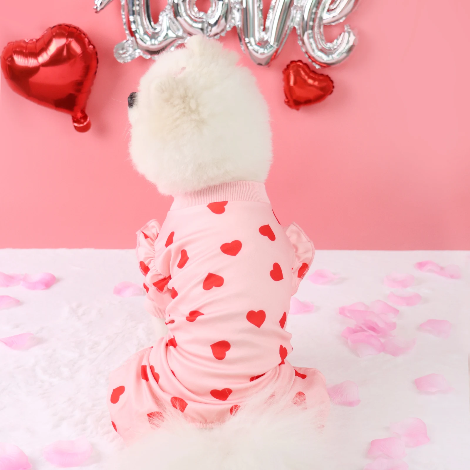 Un perro con un vestido rosa con corazones