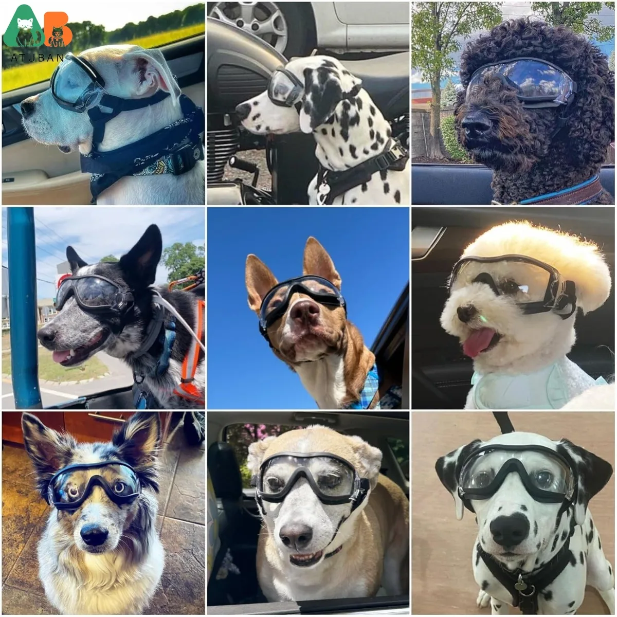 ATUBAN Gafas para perros de razas grandes, gafas de sol con protección UV para protección ocular de perros al aire libre, antivaho, antipolvo, a prueba de viento y nieve - imagen 3