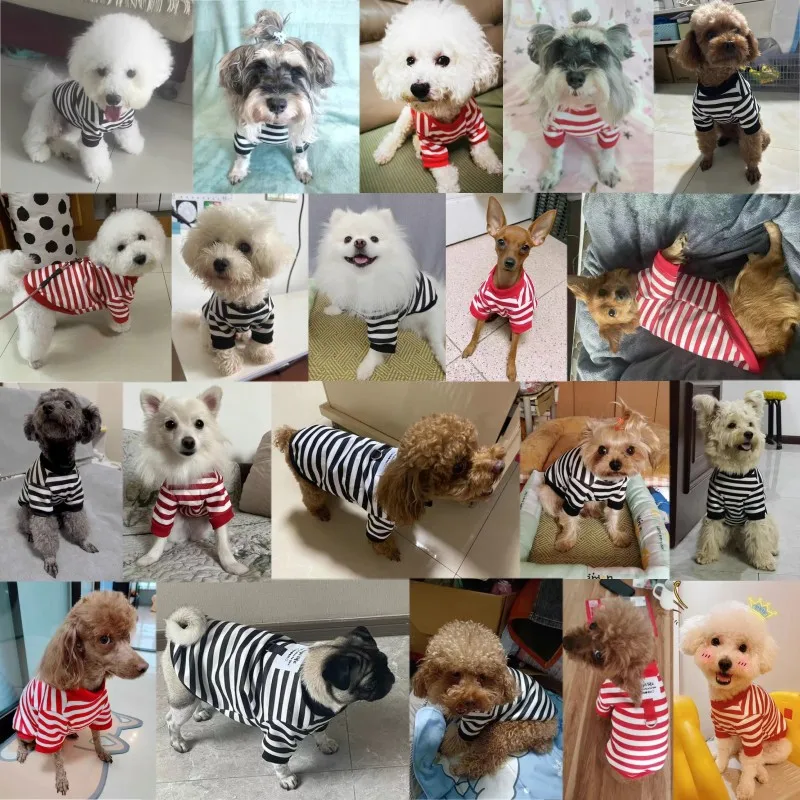 Ropa de moda para perros pequeños, sudaderas con capucha a rayas para perros pequeños, jersey bonito para cachorros, sudadera suave para gatos, ropa para Chihuahua - imagen 2