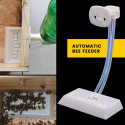 Alimentador de Apicultura en el interior de la colmena, herramienta de alimentación de plástico para miel y azúcar, suministros para abejas, alimentador de abejas, herramienta de apicultor, 1 ud.
