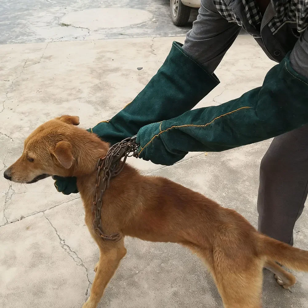 Guantes cuero anti-mordidas y anti-arañazos para perros y gatos - imagen 2