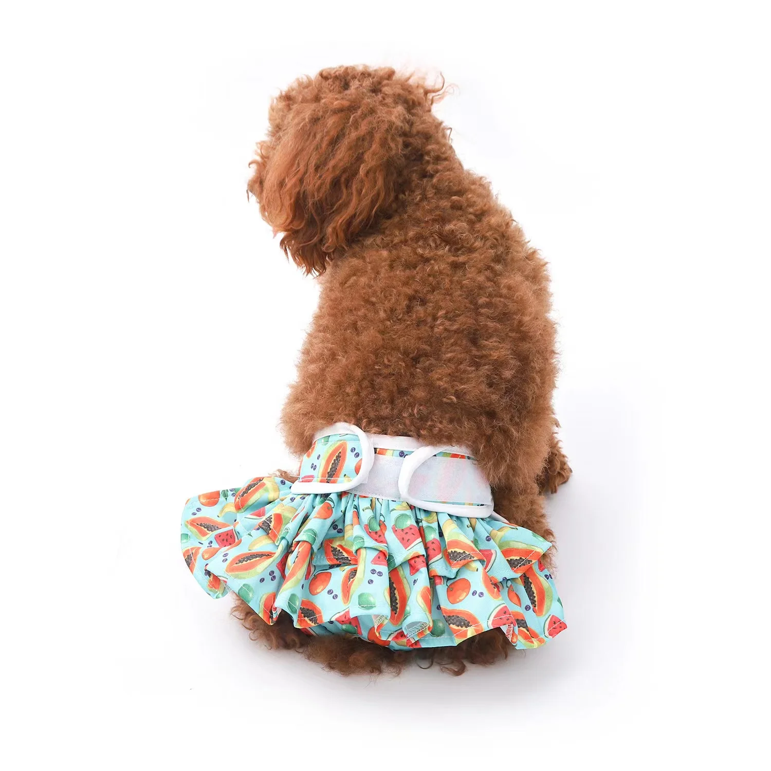 Pantalones cortos de algodón para perro y mascota, braguitas sanitarias fisiológicas, lavables para cachorros, accesorios para mascotas, varios tamaños - imagen 4