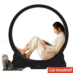 Rueda de ejercicio grande y silenciosa para gatos – Desmontable para actividad física