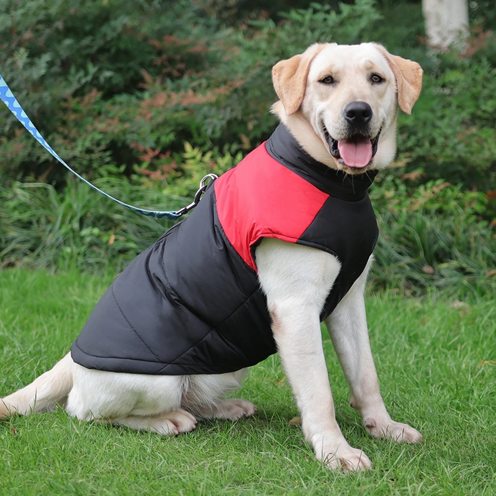 Chaleco impermeable para perros y cachorros, chaqueta cálida de invierno para perros, chaleco acolchado para mascotas, chaqueta con cremallera, abrigo para perros pequeños, medianos y grandes - imagen 4