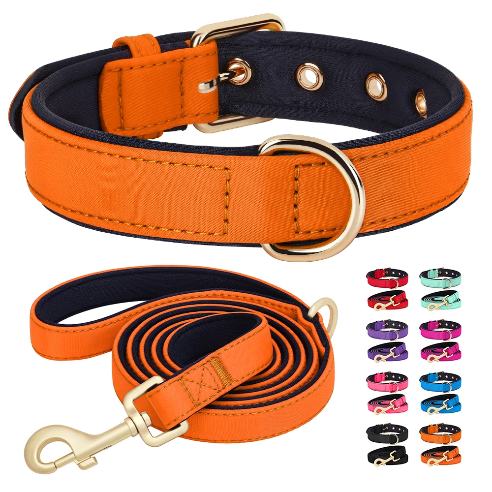 Collar y correa acolchados impermeables para perro Pug - Nailon resistente
