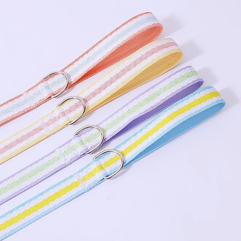 Correa nailon 2m para perros – Mango cómodo para paseo y entrenamiento - imagen 2