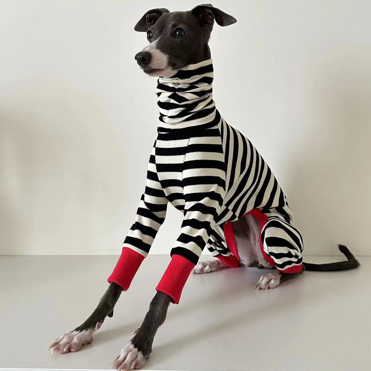 Ropa italiana de cuatro patas a rayas de galgo, ropa suave y elástica para whippet, ropa cálida de invierno para perros - imagen 2