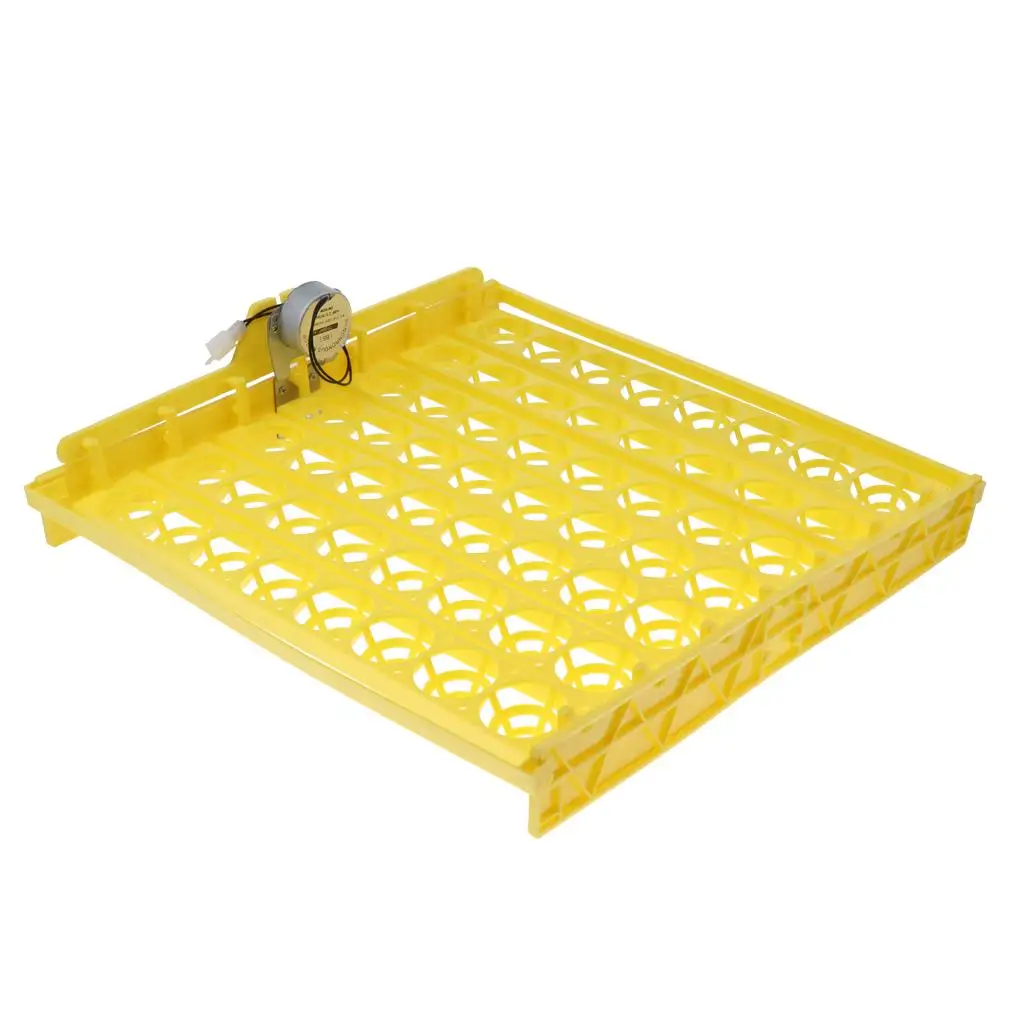 56 Chicken Duck Quail Goose Pigeon Bird Poultry Eggs Tray Motor Automatic Incubator ing Turner 110V