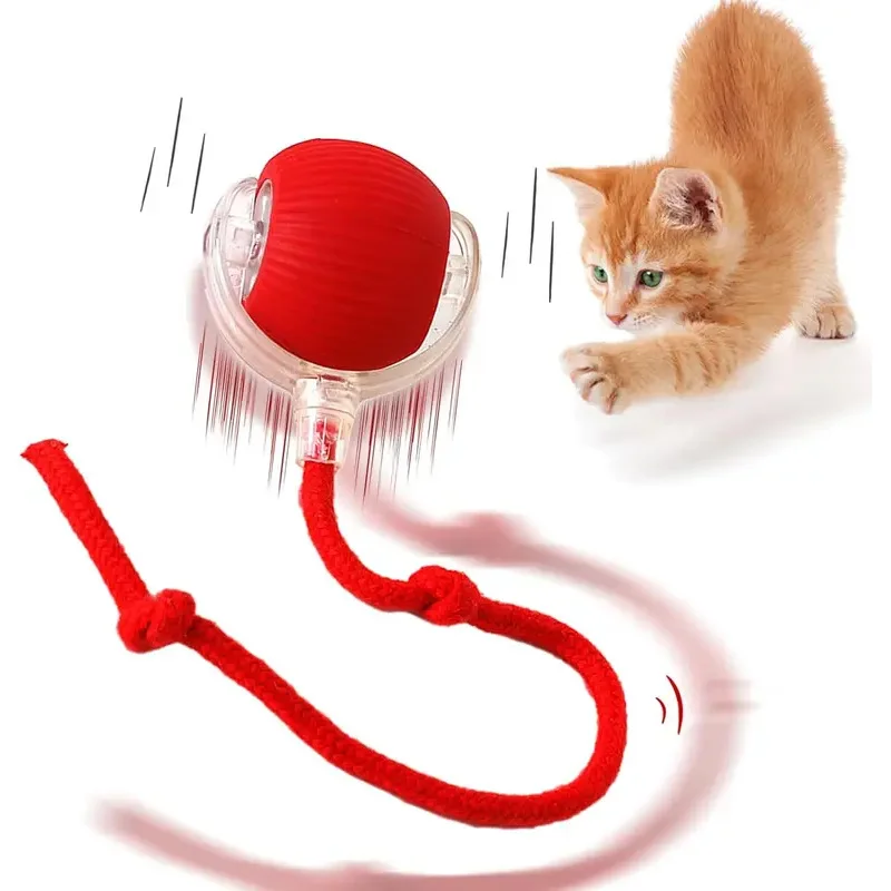 Bola rodante automática, pelota interactiva, juguetes para gatos, suministros para mascotas, entrenamiento eléctrico para perros y gatos para imitar productos recargables para ratas