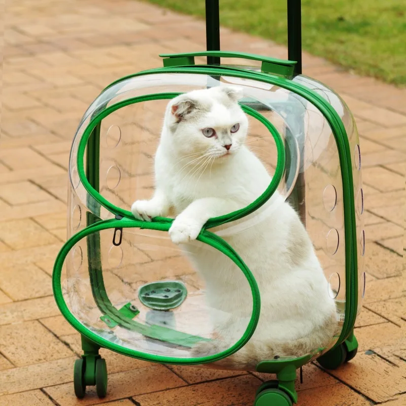 Cubierta de carrito para mascotas de gran capacidad, bolsa de viaje portátil verde transparente, productos para mascotas, transportadores para gatos lavables y ligeros para exteriores - imagen 4