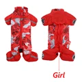 Red Girl