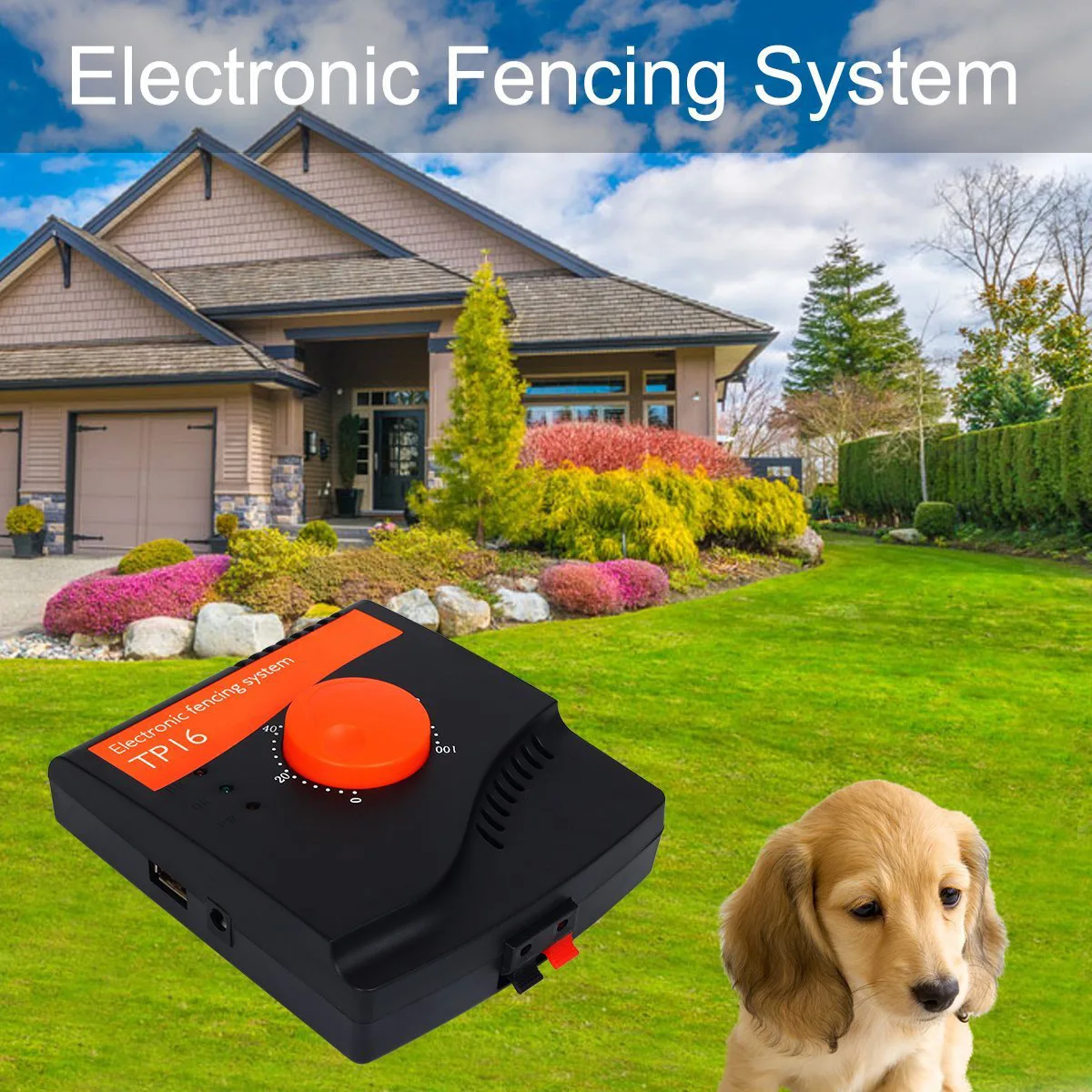 Valla electrónica TP16, entrenador de perros, tapón para ladridos, entrenador de mascotas, suministros de entrenamiento para perros, productos para mascotas - imagen 2