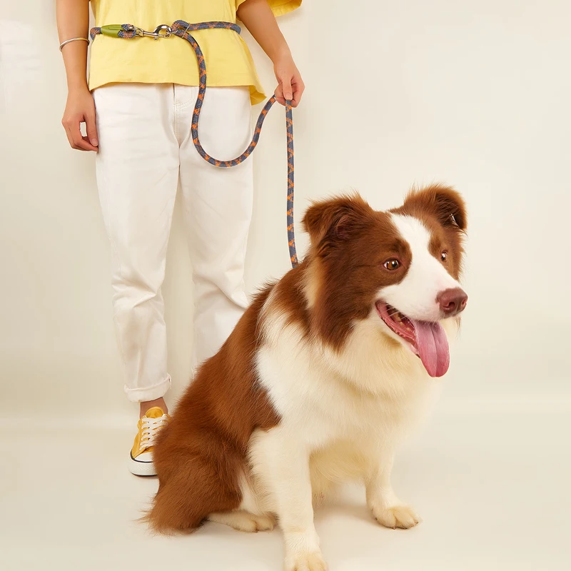 CAWAYI KENNEL Correas dobles de nailon reflectante Cadena para perros de compañía Cables de cuerda de tracción para correr Manos libres Cadena de cuerda para perros grandes - imagen 4