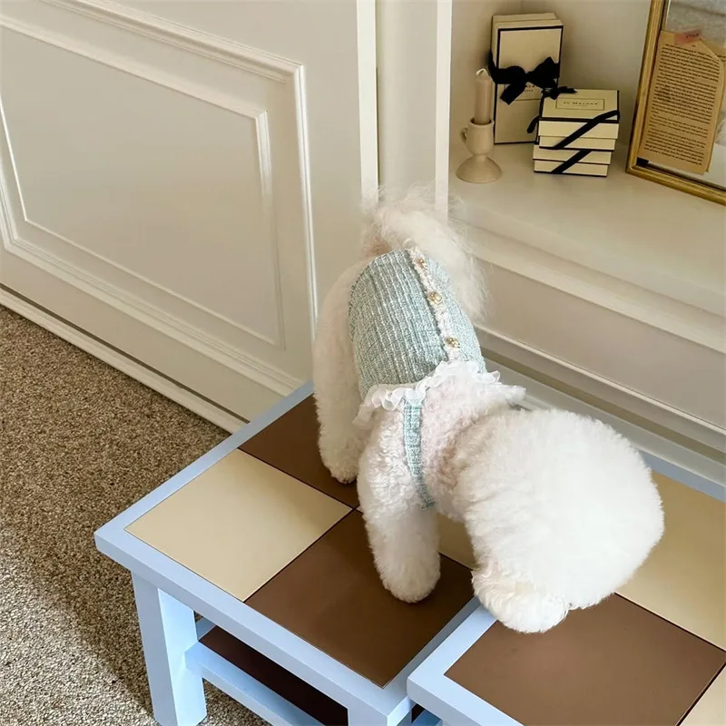 Nueva colección de primavera para mascotas, chaleco de princesa para gatos, bonito encaje con perlas, perro pequeño, ropa para cachorros, vestidos para perros pequeños - imagen 3