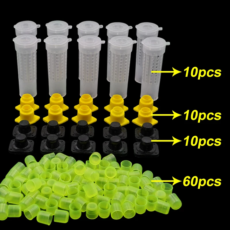 1 Juego de jaulas de apicultura, sistema de cría King Queen, caja receptora de abejas de plástico, vasos celulares, Kit completo, suministros de herramientas de Apicultura - imagen 2
