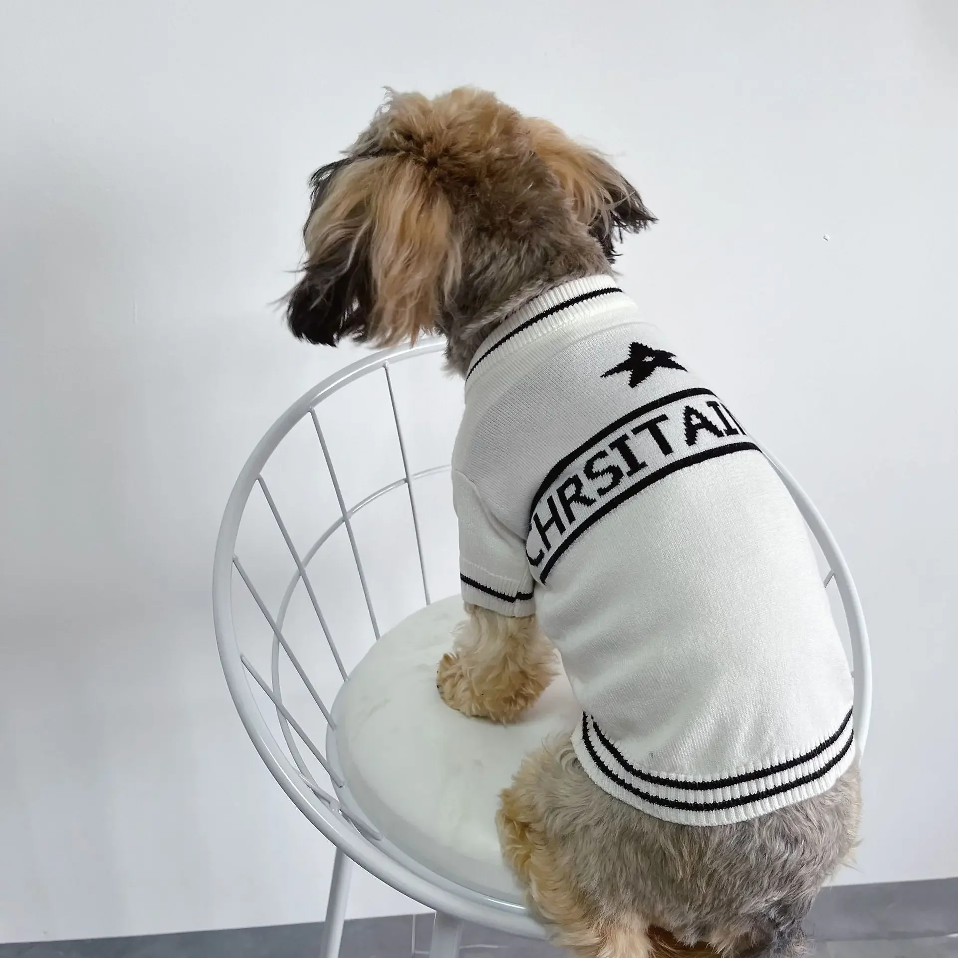 Pet Chunqiu Tide marca Color sólido tejido cálido suéter Teddy ropa pequeña cómoda - imagen 3