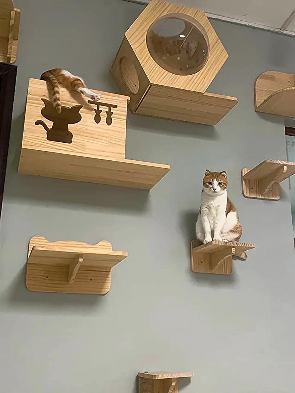 Estantes de madera para árbol de gato montados en la pared, postes rascadores, torre para gatos trepadora, hamaca con perchas flotantes sólidas, escalones y escalera