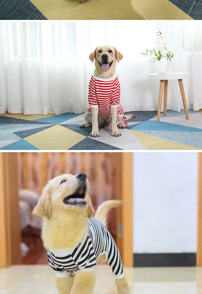 Variedad de diseños a rayas disponibles para perros grandes