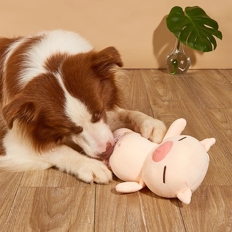 Juguete dental cerdito para masticar – Para perros y gatos - imagen 3
