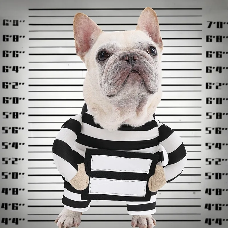 Ropa creativa para perros, ropa para perros de transformación de prisionero, ropa para perros de Halloween, disfraz divertido para mascotas, cachorros, foto de vacaciones