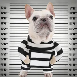 Disfraz de Halloween para perros y cachorros - ropa creativa