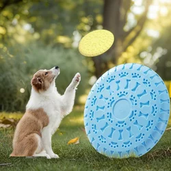 Disco volador TPR para perros - Juguete para buscar y masticar