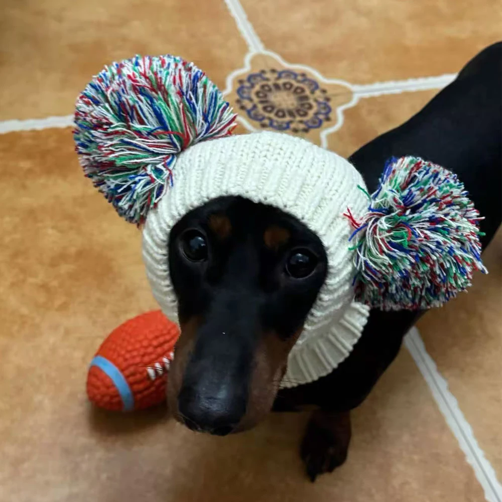 Suéter de cachemira con gorro para Dachshund – Jersey térmico para perro salchicha - imagen 5