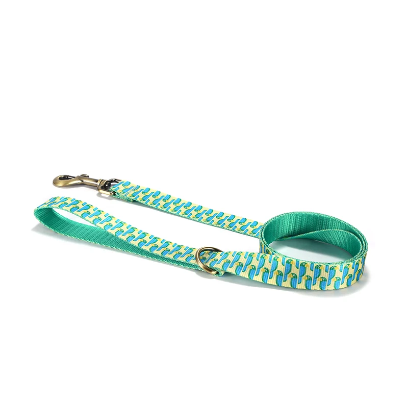 PLATTCO, bonito Collar verde para loros, accesorio ajustable para perros, suministros para mascotas, Collar para perros, juego de correa, loro verde PDC360 - imagen 2
