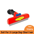 Dog XL-short hair