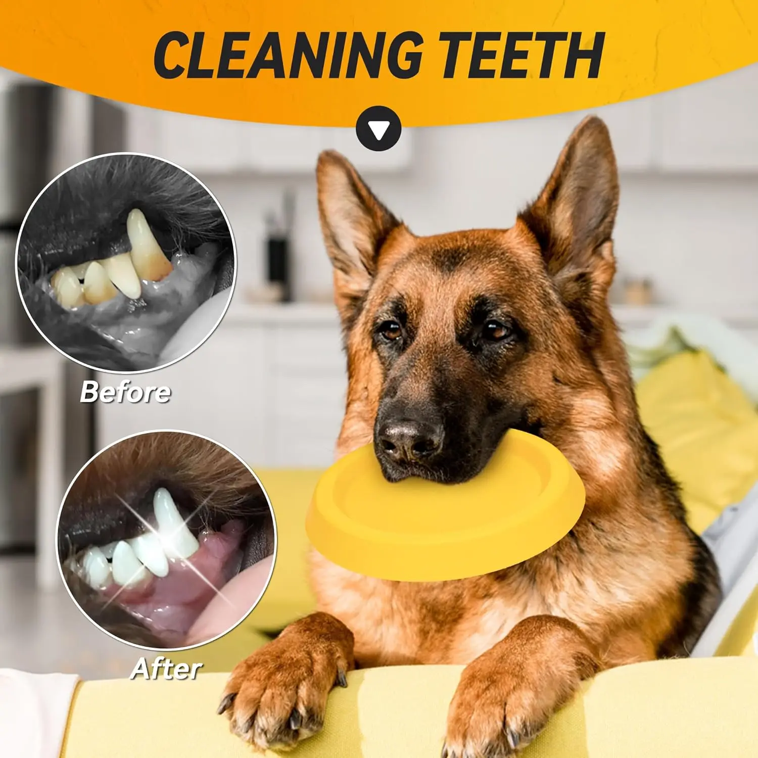 Discos para perros de juguete, discos voladores duraderos para lanzar y atrapar, duraderos para masticadores agresivos, juguetes flotantes de agua para entrenamiento para perros - imagen 4