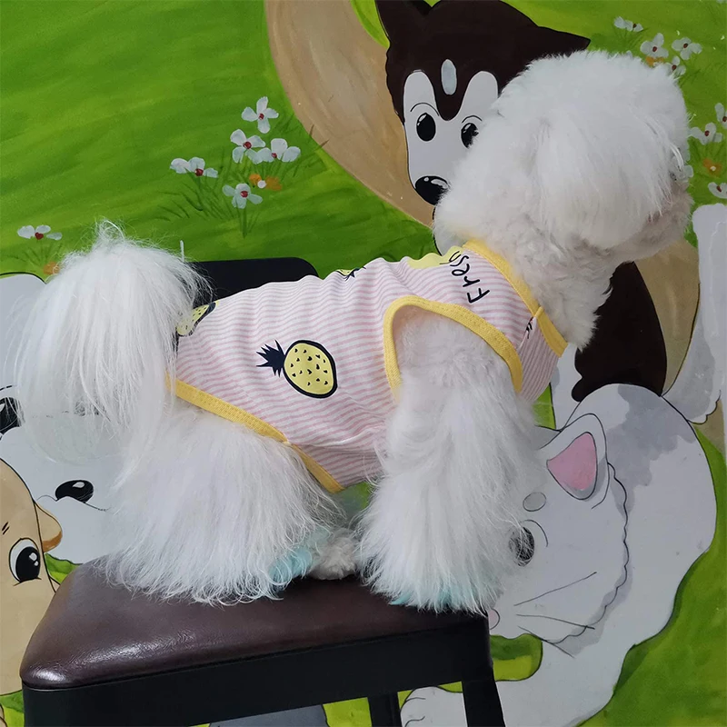 Camisa con falda para perro, Camisetas estampadas a rayas, chaleco de algodón, vestido plisado, ropa para cachorros, ropa para mascotas de verano para perros pequeños y medianos y gatos - imagen 3