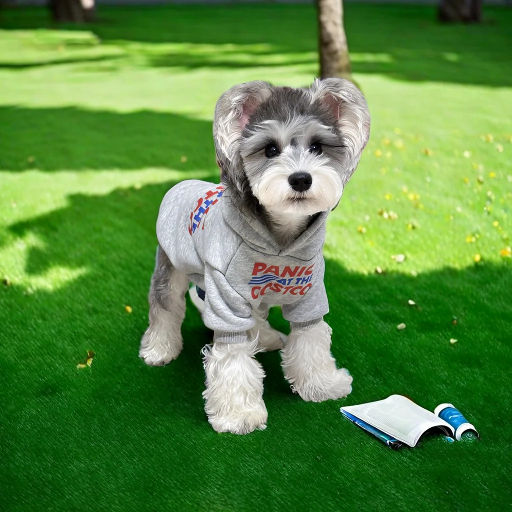 Disfraz para perro, camiseta de verano, ropa informal para perros pequeños y grandes, gatos, Chihuahua, Pug, camisas de Yorkshire - imagen 3